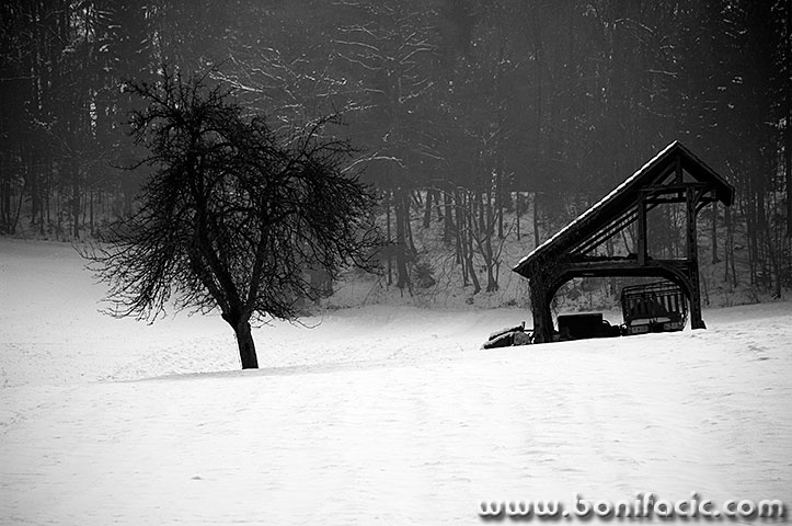 otocec2BWmal