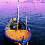 stilllife___Gaily___Baska, Croatia.