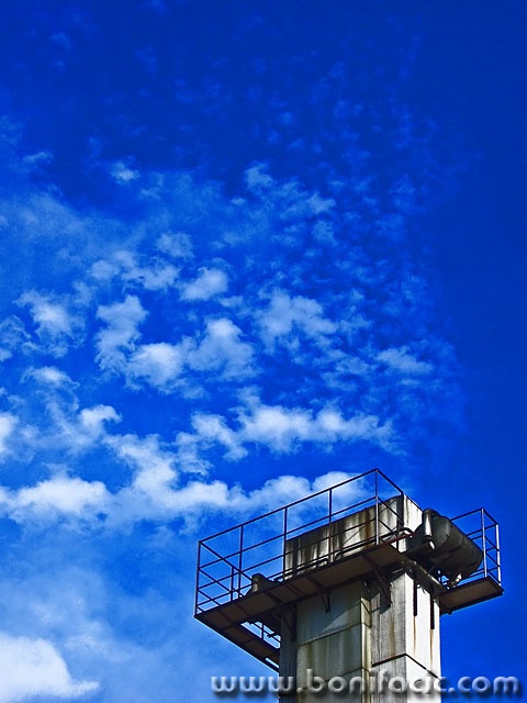 stilllife___Flue___Krk, Croatia.