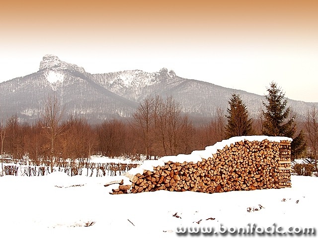 stilllife___Forage___Turkovici, Croatia.