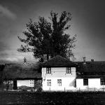 kucalagerbw1mal