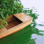 stilllife___Hidden___Duga Resa, Croatia.