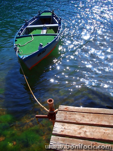stilllife___Greeny___Limski Kanal, Croatia.