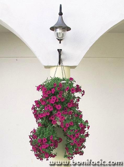 stilllife___Hang___Malinska, Croatia.