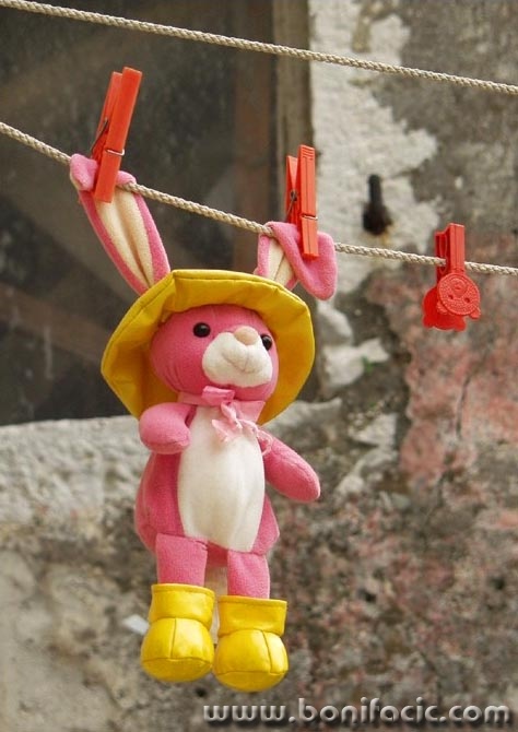 stilllife___Help___Bakar, Croatia.