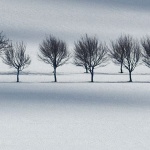 panorama___Line___Krasno, Croatia.