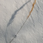 stilllife___Inseparable___Fuzine, Croatia.