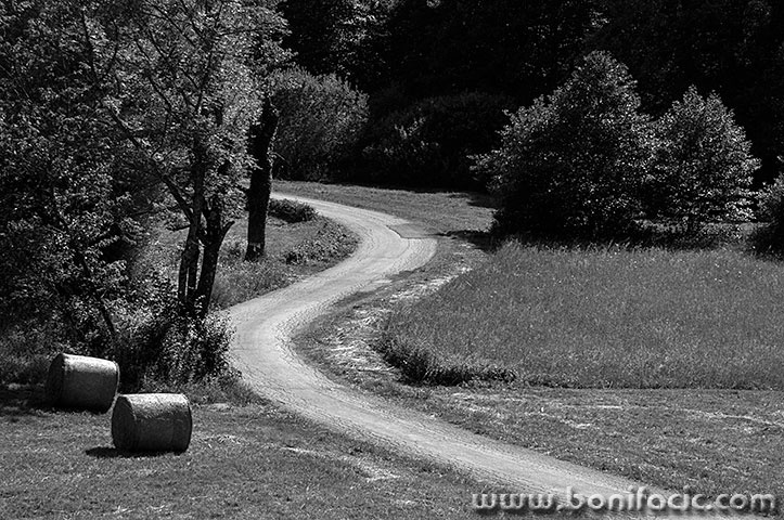 gonirje2BWmal