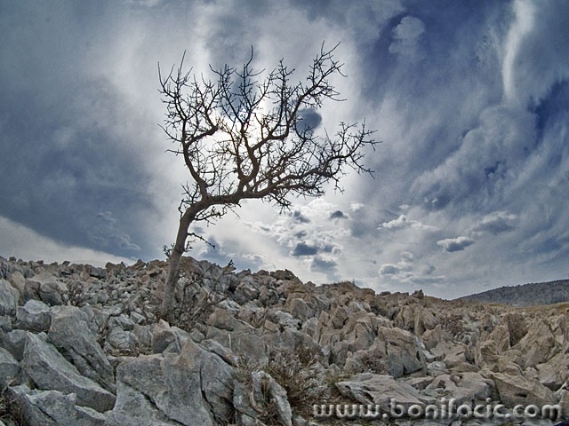 stilllife___Last One___Voz, Croatia.