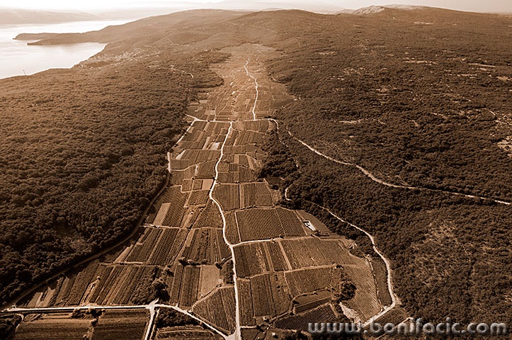 vrbanskopolje7sepiamal