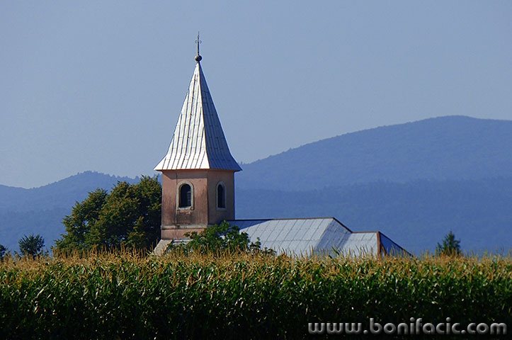 svetijosipkuruza2mal