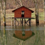 stilllife___List___Josipdol, Croatia.