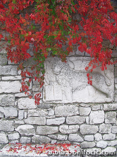 stilllife___Lion___Osor, Croatia.