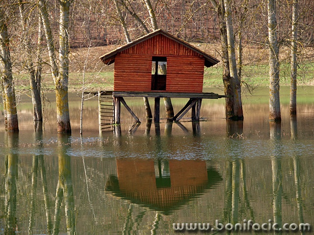 stilllife___List___Josipdol, Croatia.