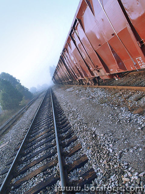 stilllife___List___Josipdol, Croatia.