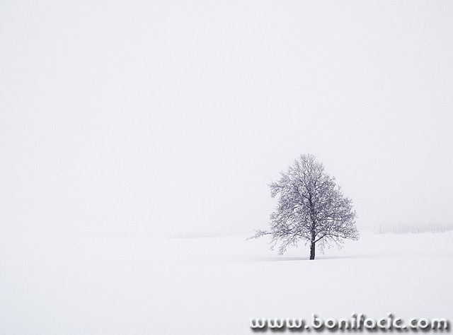 stilllife___Loneliness___Cakovac, Croatia.