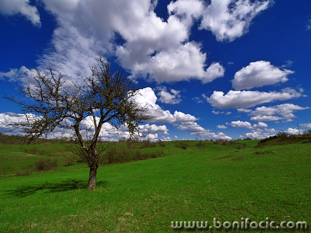 stilllife___Meteorologyst___Kordun, Croatia.