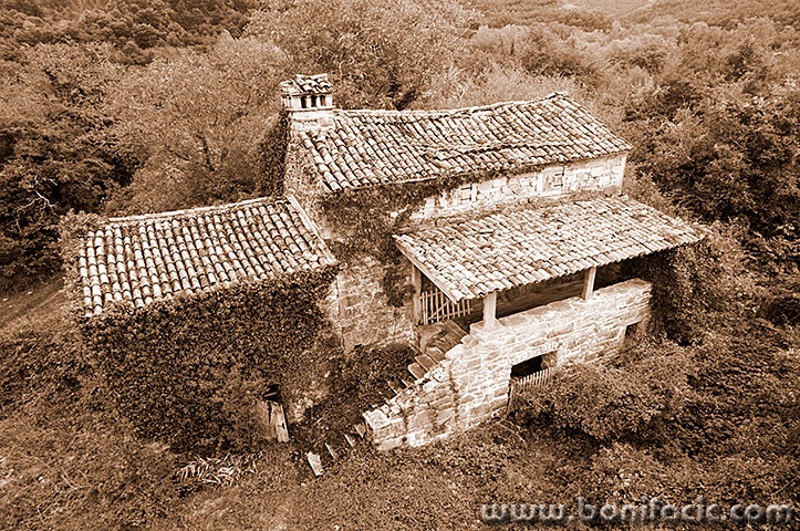 kotli1sepiamal