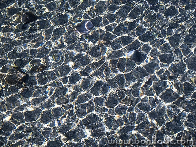 stilllife___Net___Punat, Croatia.