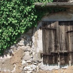 stilllife___Outside Curtain___Rasopasno, Croatia.