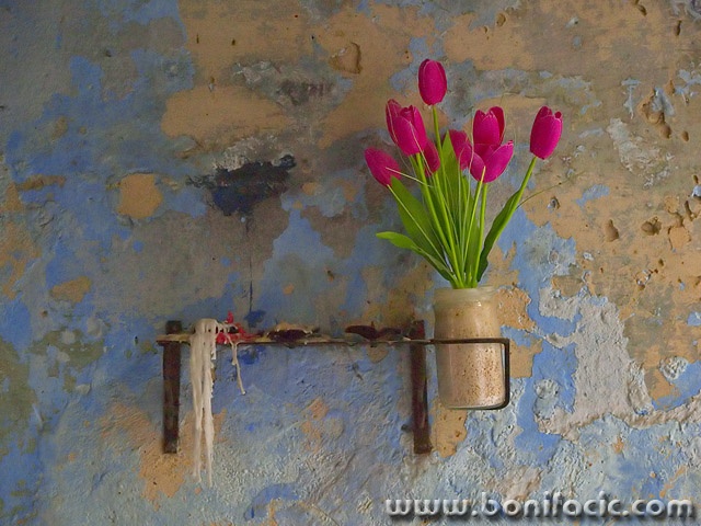 stilllife___Obit___Rovinj, Croatia.