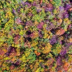 sumajesenvelebit4mal