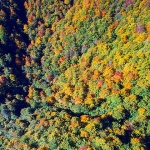 sumavelebitjesen1mal