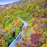 velebitsumajesen7mal