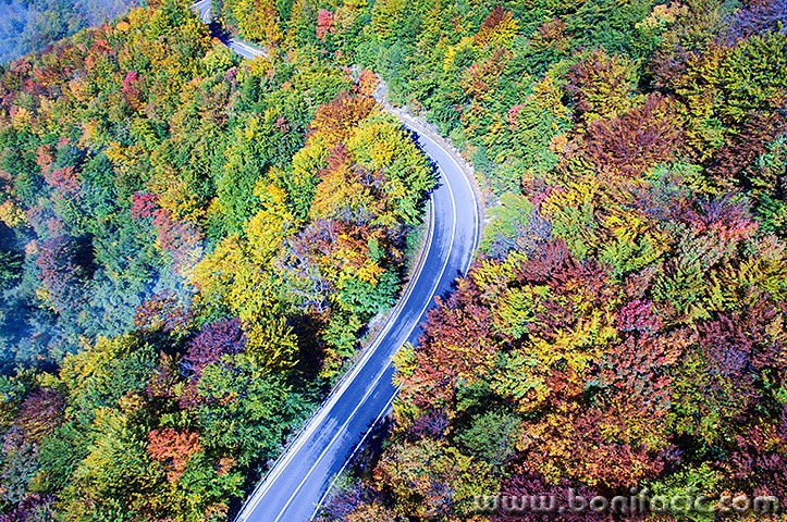 velebitsumajesen8mal