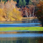 mrzlavodicajesen2mal