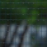 stilllife___Rainy Day___Punat, Croatia.