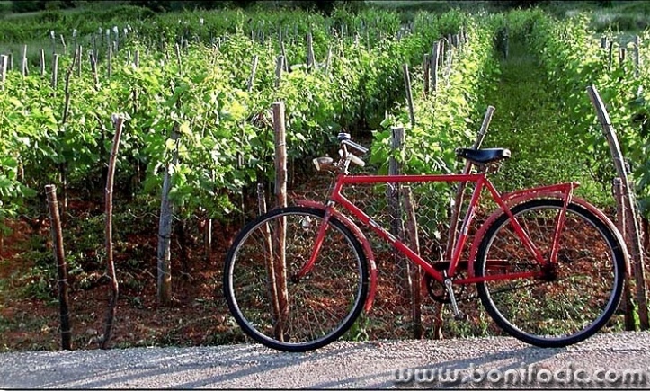 stilllife___Red Bike___Baska, Croatia.
