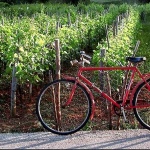 stilllife___Red Bike___Baska, Croatia.