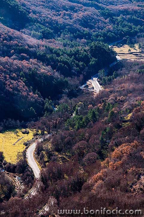 diviskadragabascanskacesta1mal