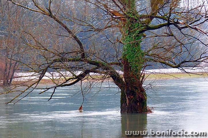 stablopoplavaostarije1mal