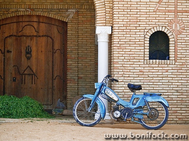 stilllife___Recumbent___Tozeur, Tunisia.