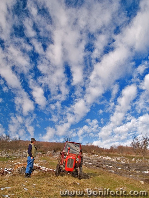 stilllife___Red Tractor___Svica, Croatia.