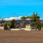 palmanovahazienda1mal