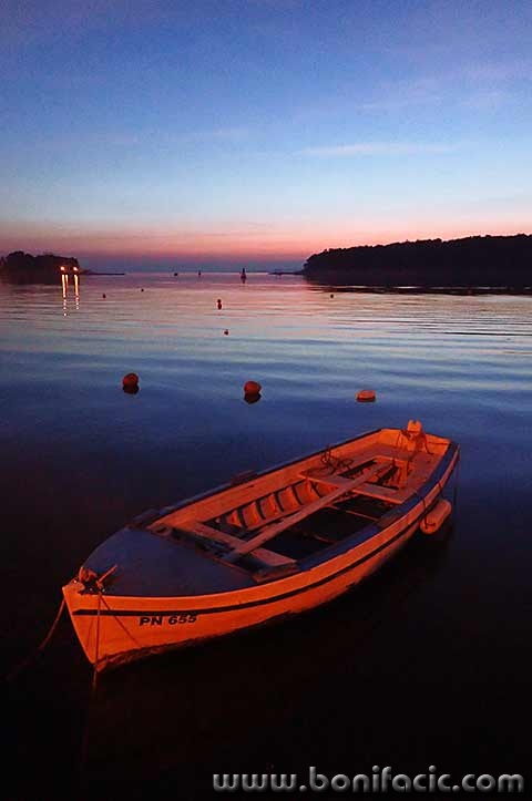 kajicpodgusternu1mal