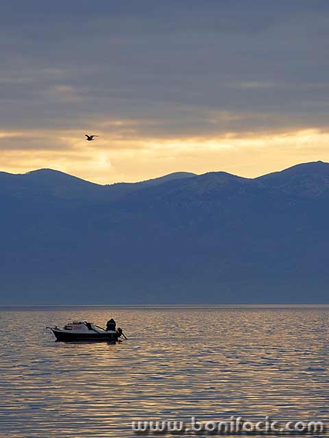 baska108mal