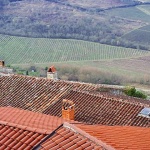 motovun101mal