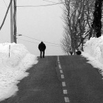 cestacoviksnigbw1mal