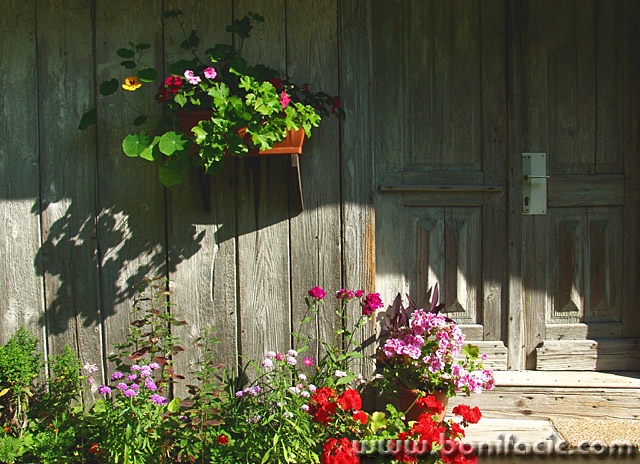 stilllife___Small Garden___Kupjak, Croatia.
