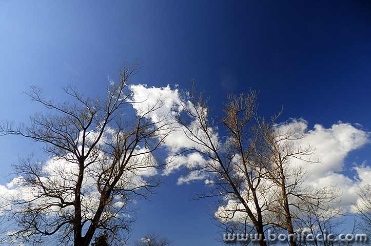 nebooblacistabla1mal