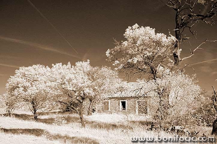 stablokucasepiakrkair1mal