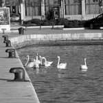 lumixsibenik27BWmal