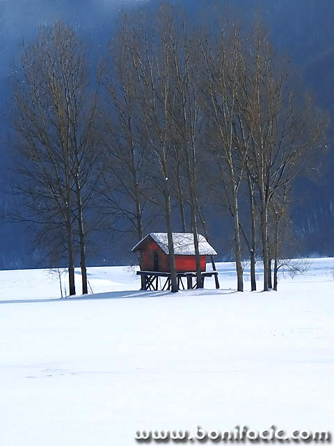 stilllife___Sojenica___Svica, Croatia.