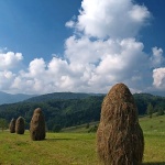 stilllife___Stacks Online___Ljubosina, Croatia.