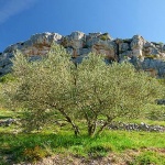 lumixkrka3ulikamal