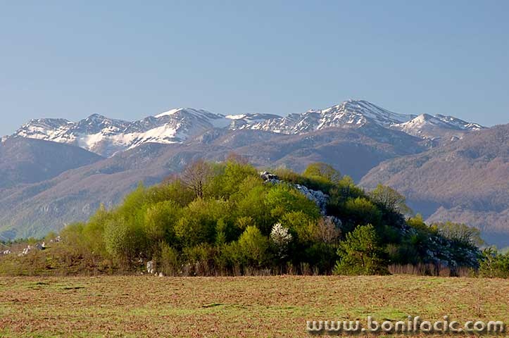 lumixgospic14mal